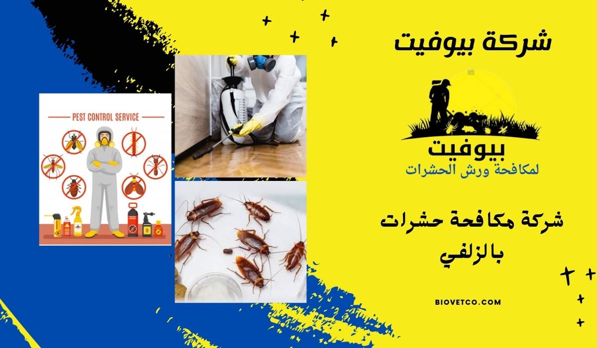 شركة مكافحة حشرات بالزلفي