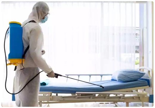 أفضل شركة مكافحة حشرات في الفيوم بخبرة وضمان معتمد