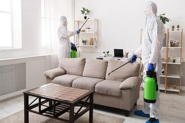 وصف Meta للمقال ✔ وصف مختصر احترافي 7 فقرات؟