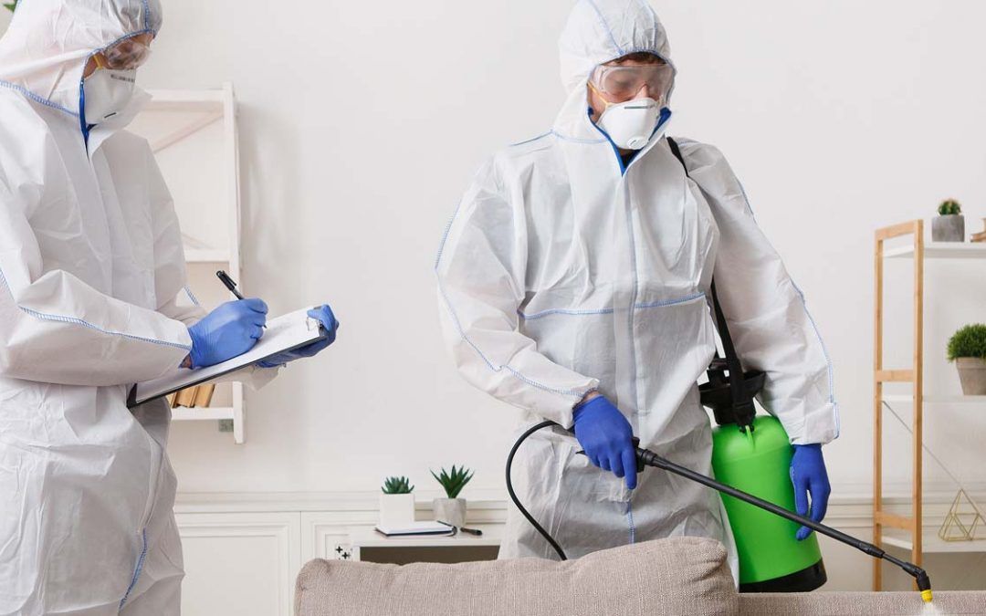 اسعار مكافحة حشرات في الفيوم وأفضل العروض المتاحة