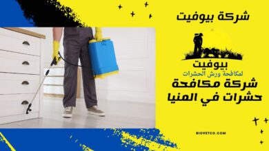 شركة مكافحة حشرات في المنيا