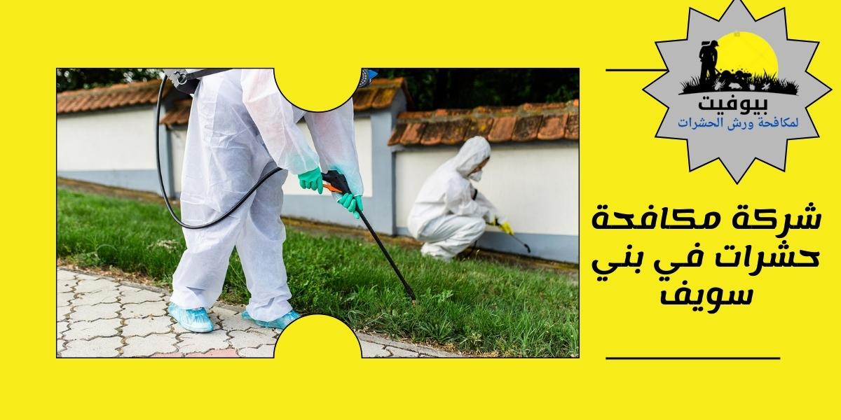 شركة مكافحة حشرات في بني سويف 01033160250