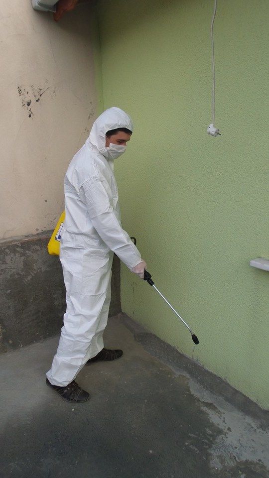 مكافحة الحشرات في بني سويف