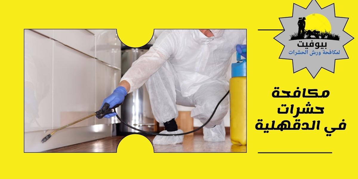 شركة مكافحة حشرات في الدقهلية 01033160250