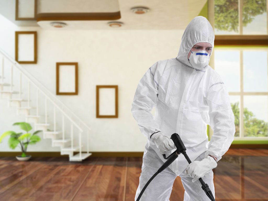 مكافحة حشرات في الفيوم..