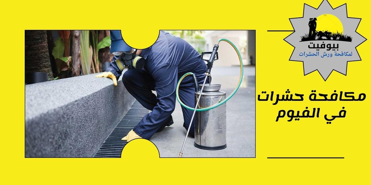 مكافحة حشرات في الفيوم 01033160250