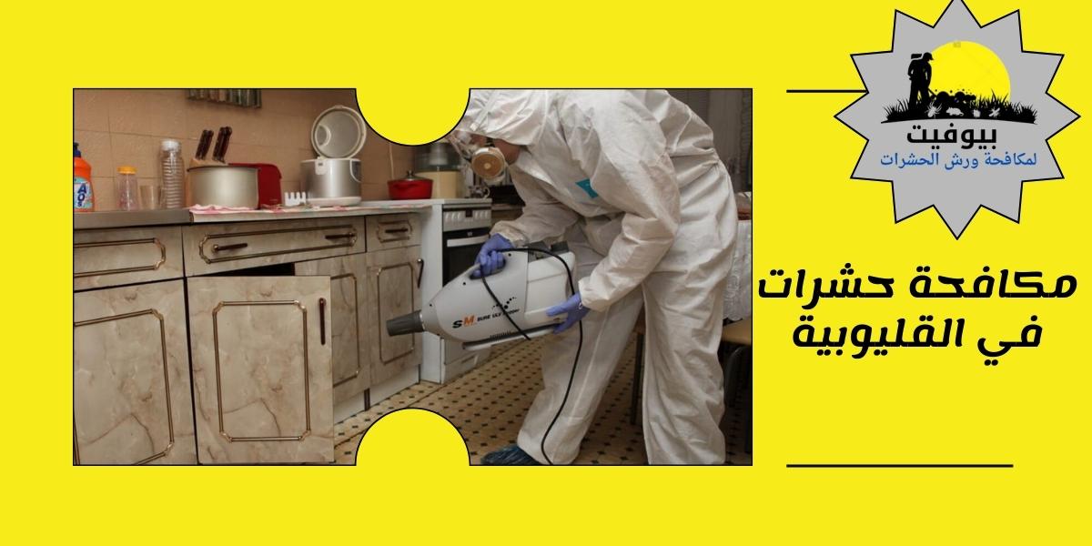 شركة مكافحة حشرات في القليوبية 01033160250