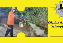 مكافحة حشرات في بورسعيد