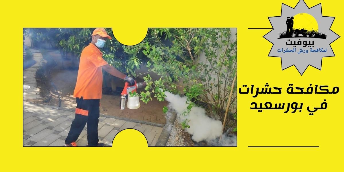 أفضل شركات مكافحة حشرات في بورسعيد 01033160250