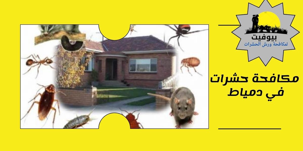 مكافحة حشرات في دمياط 01033160250