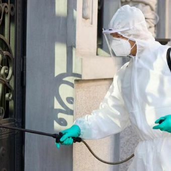 مميزات شركتنا في مكافحة حشرات في الفيوم