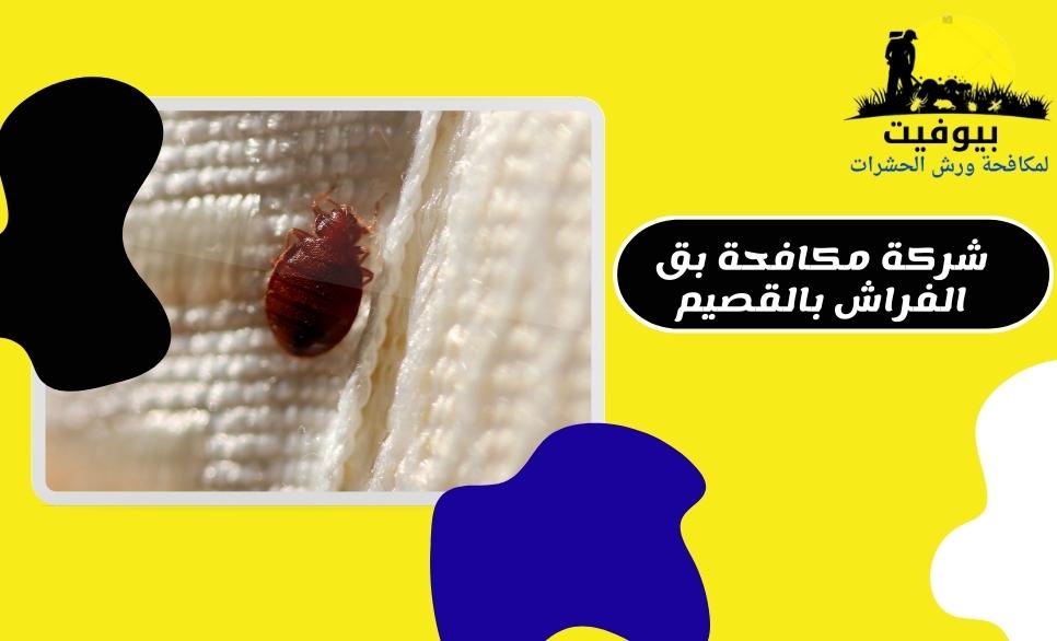 شركة مكافحة بق الفراش بالقصيم