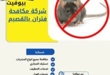 شركة مكافحة فئران بالقصيم