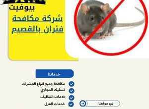 شركة مكافحة فئران بالقصيم