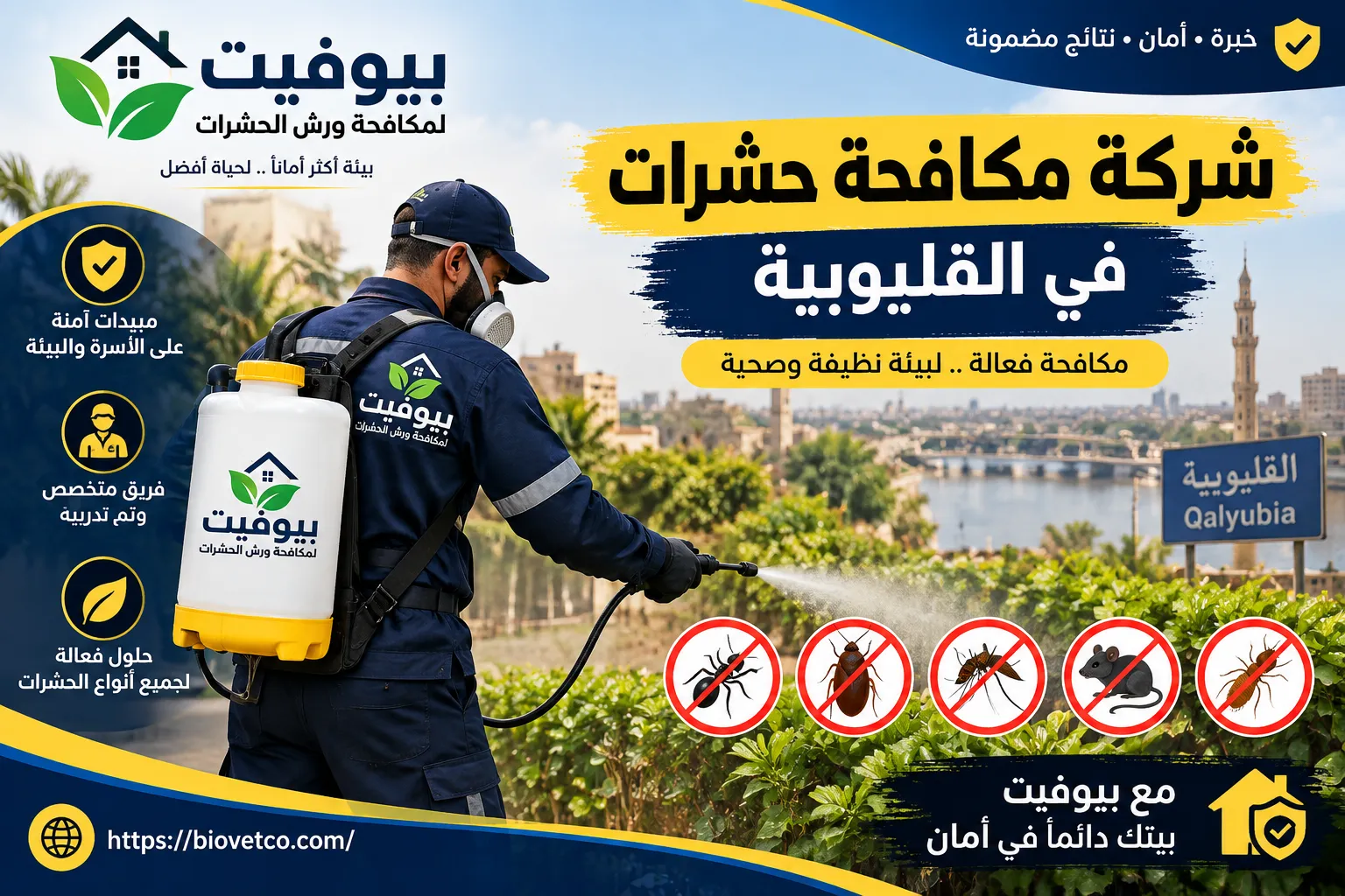 شركة مكافحة حشرات في القليوبية 01033160250