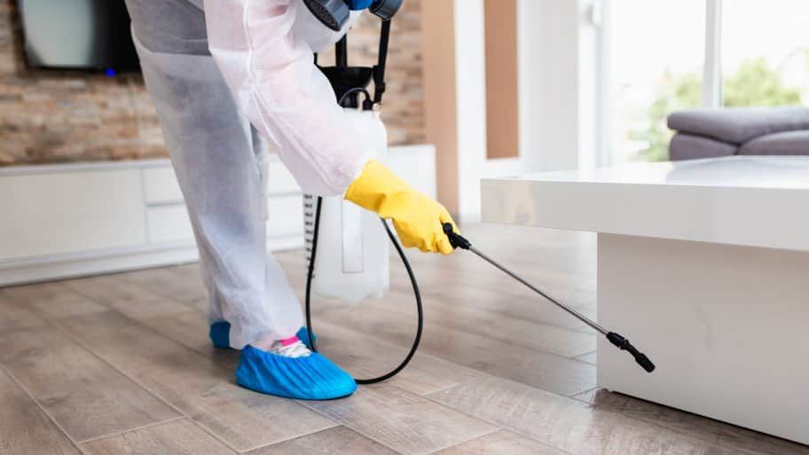 أحسن شركة رش حشرات في المنوفية