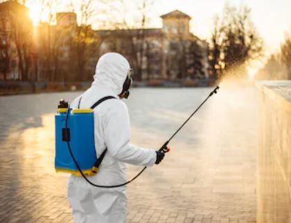 شركة مكافحة حشرات في القليوبية محترفة