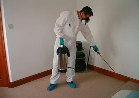 شركة مكافحة حشرات في المنوفية
