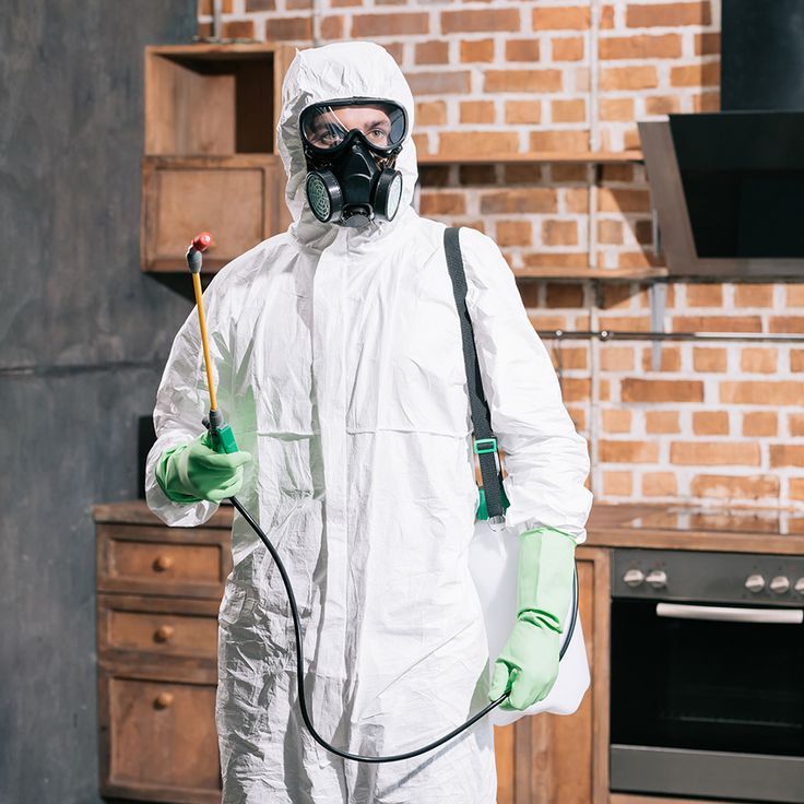 خطوات العمل داخل شركة مكافحة حشرات في أسيوط من المعاينة حتى الضمان