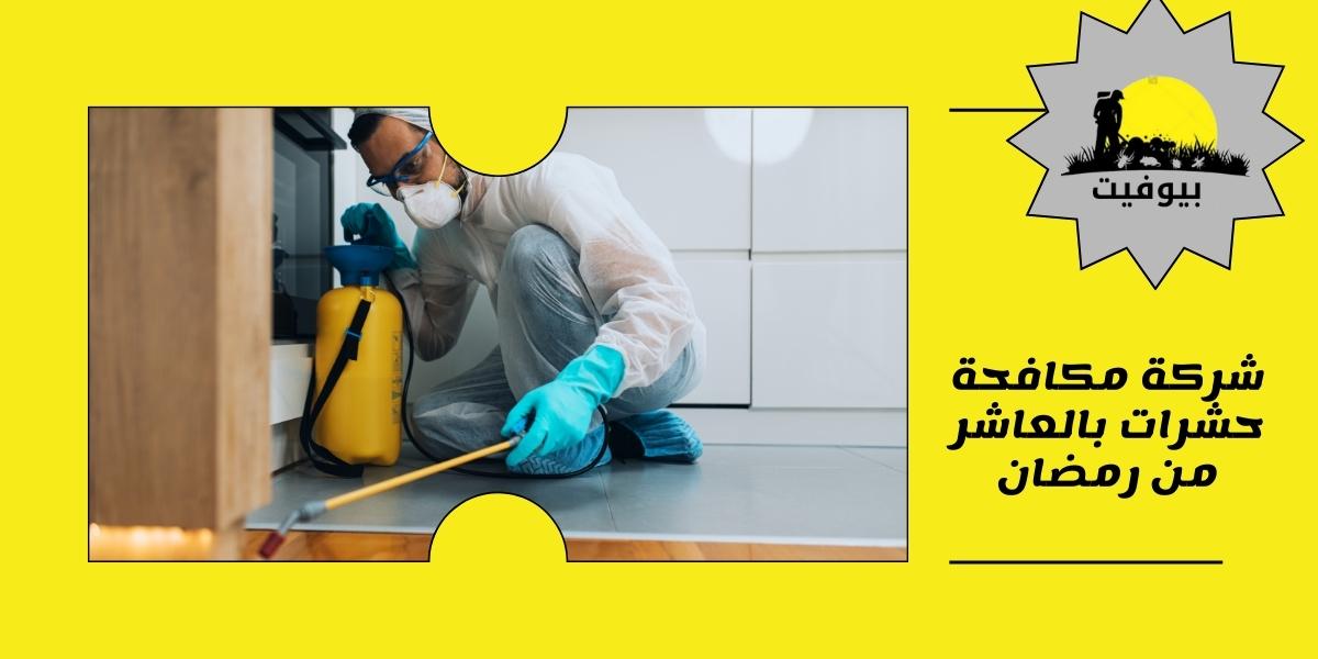 شركة مكافحة حشرات بالعاشر من رمضان 01033160250