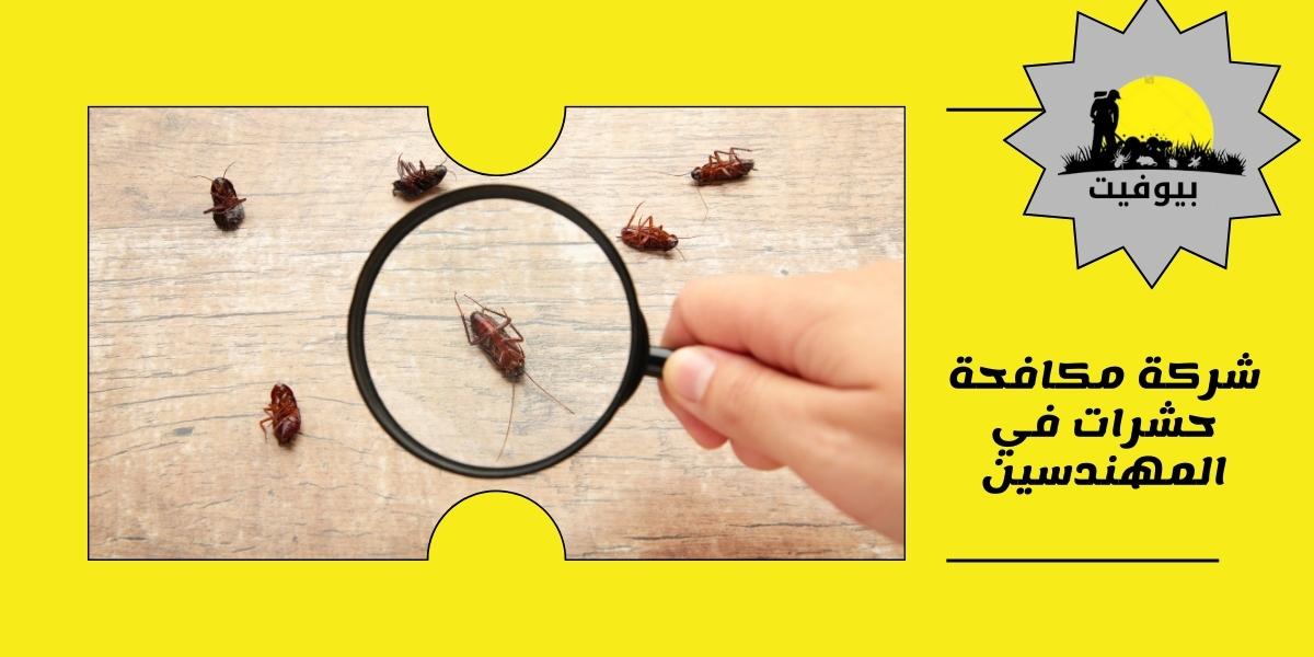 شركة مكافحة حشرات في المهندسين 01033160250