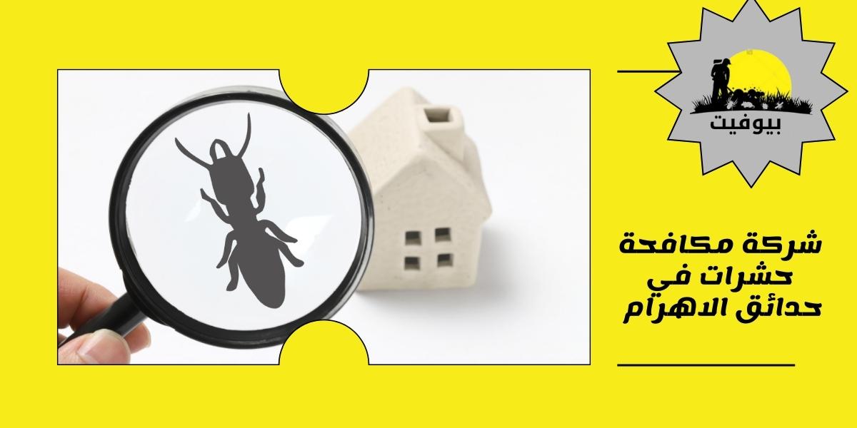 شركة مكافحة حشرات في حدائق الاهرام 01033160250