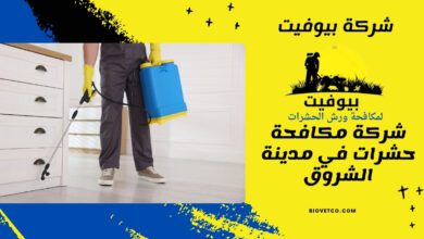 شركة مكافحة حشرات في مدينة الشروق