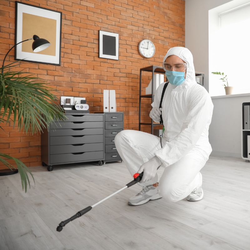 شركة مكافحة حشرات في مدينة الشروق