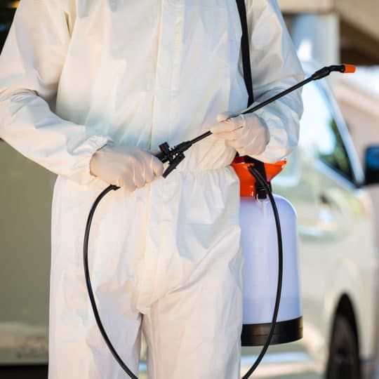 شركة مكافحة حشرات في مدينة الشروق