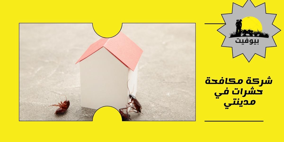 شركة مكافحة حشرات في مدينتي 01033160250