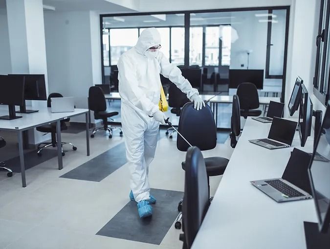 شركة مكافحة حشرات في مدينتي