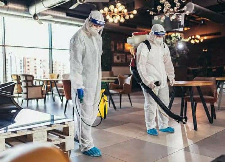 شركة مكافحة حشرات في مدينتي