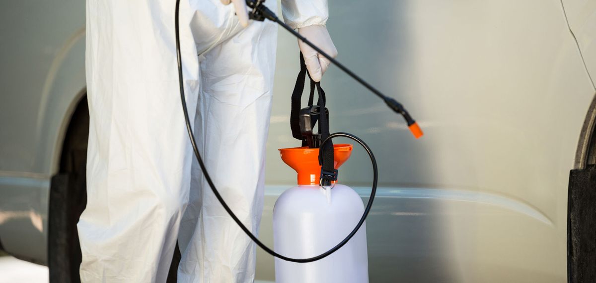 شركة مكافحة حشرات في مصر الجديدة