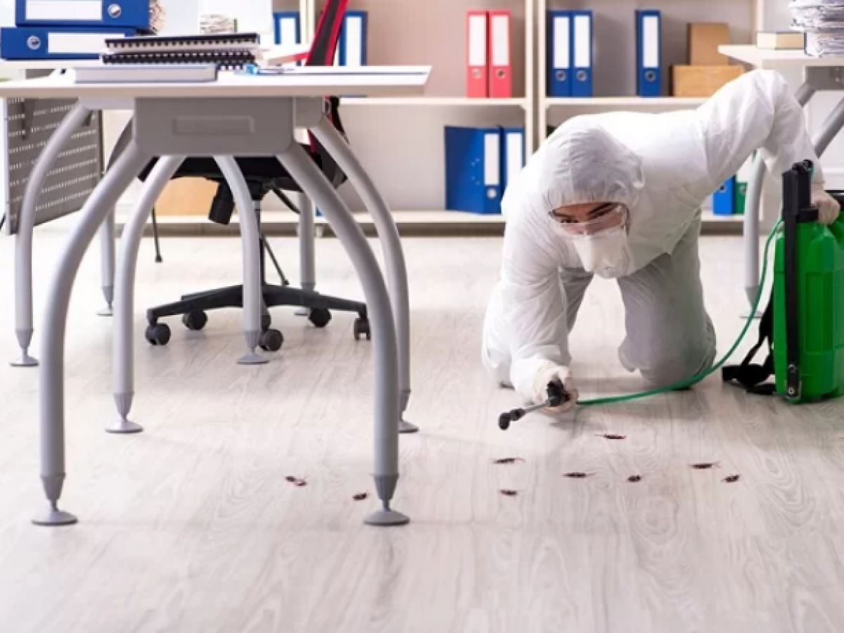 شركة مكافحة حشرات في مصر الجديدة – الحل النهائي لمشكلة الحشرات