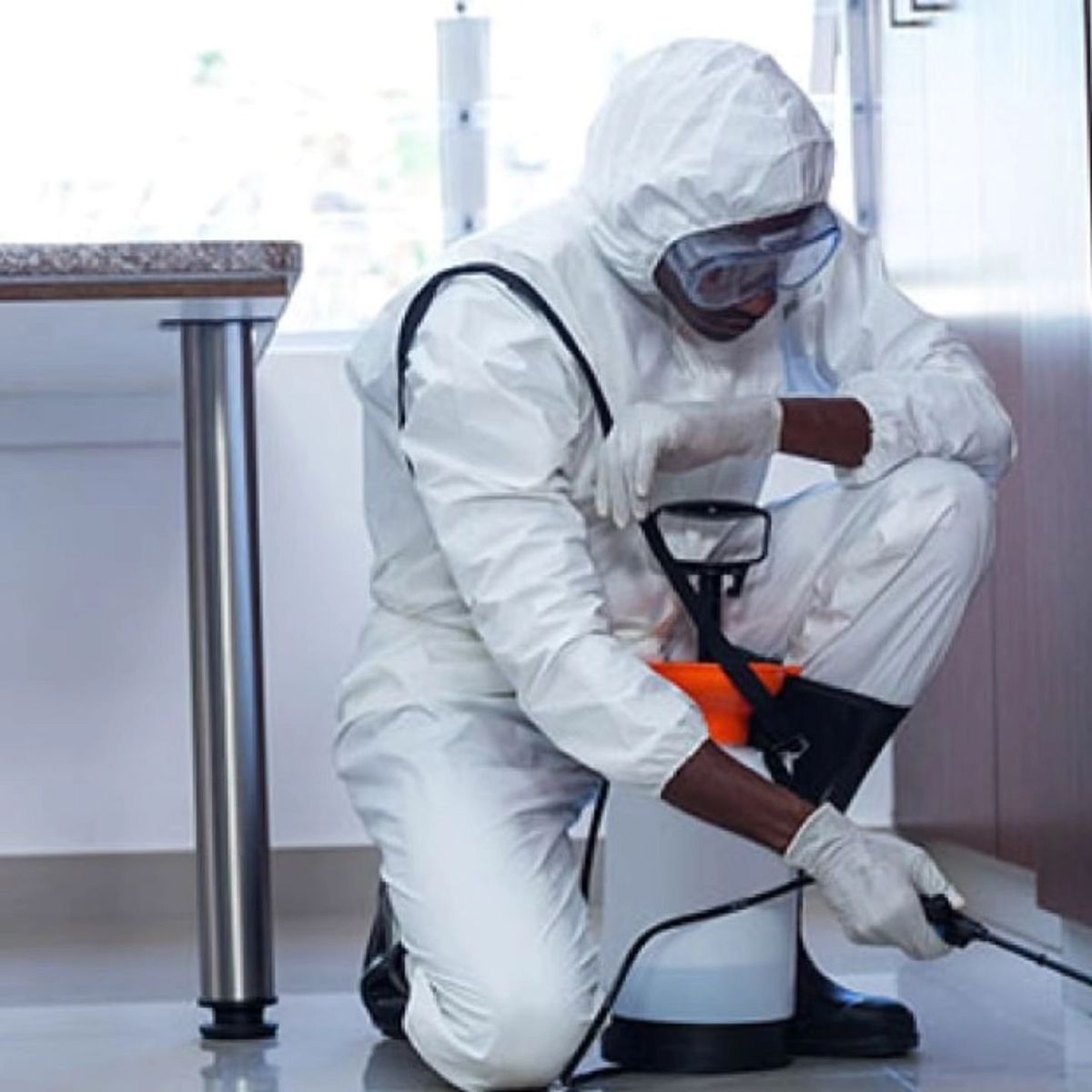 كيف تعمل شركة مكافحة حشرات في العبور؟