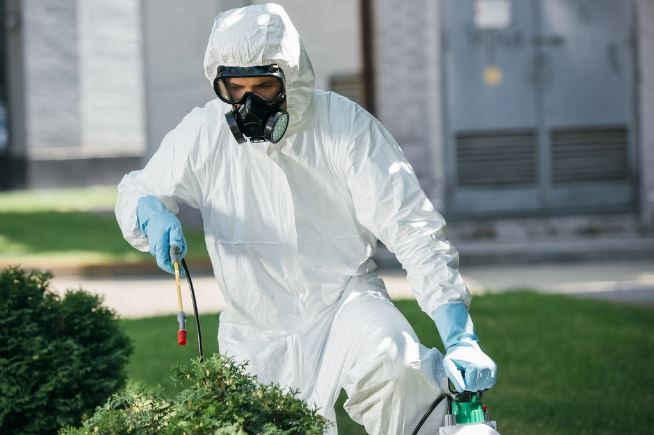 مكافحة الحشرات في أكتوبر