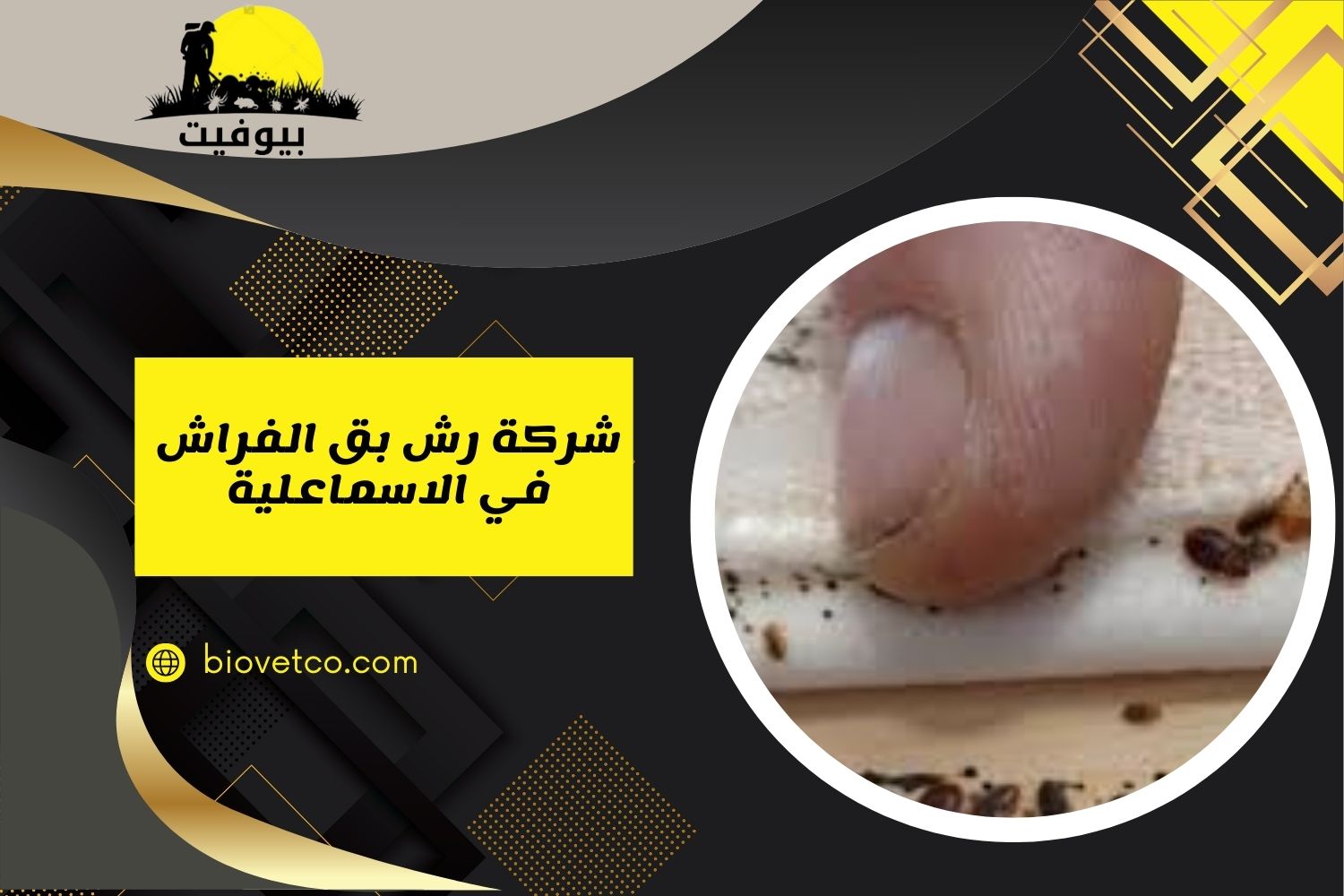 شركة رش بق الفراش في الاسماعلية خصم 50% 01033160250