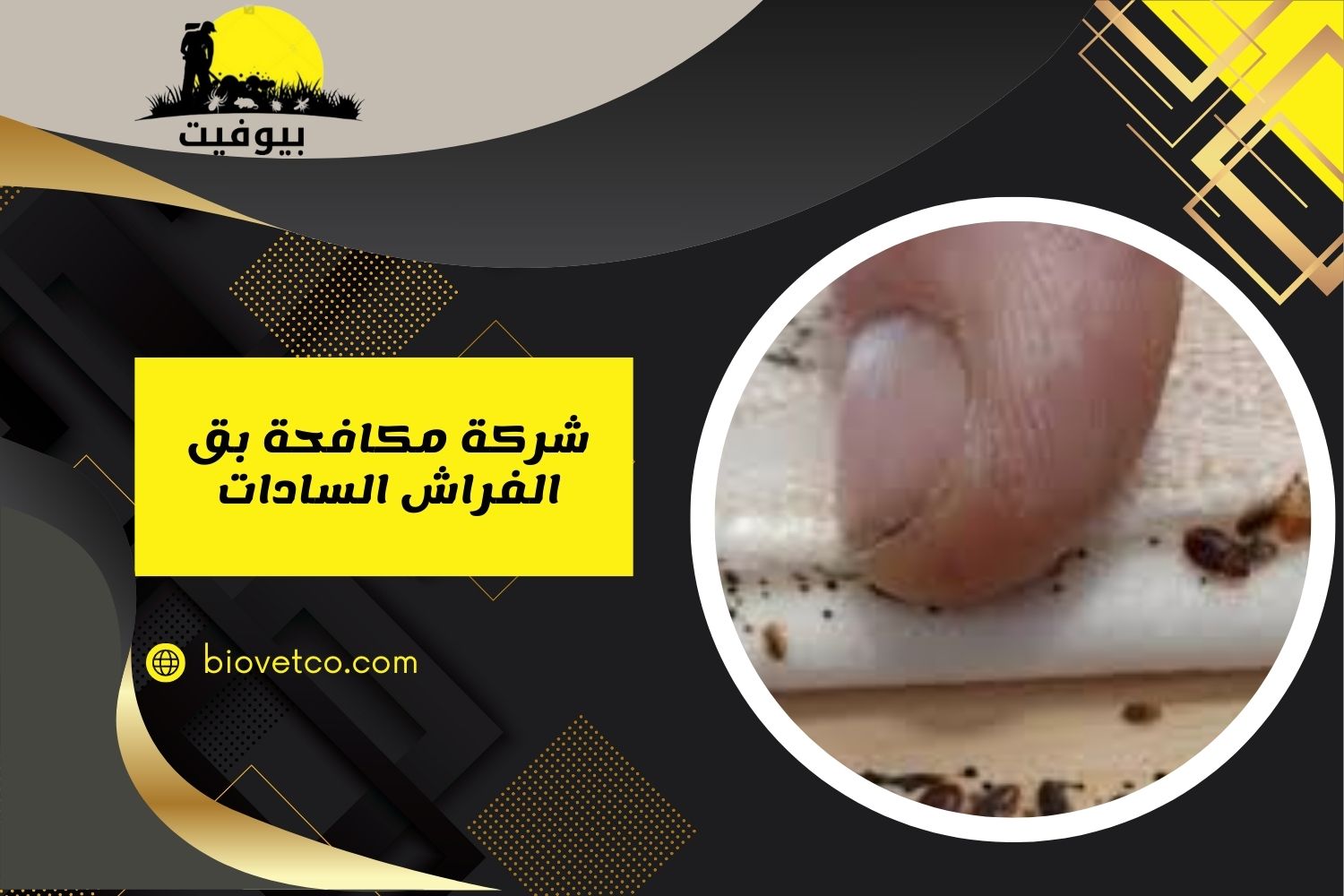 شركة مكافحة بق الفراش السادات خصم 50% 01033160250