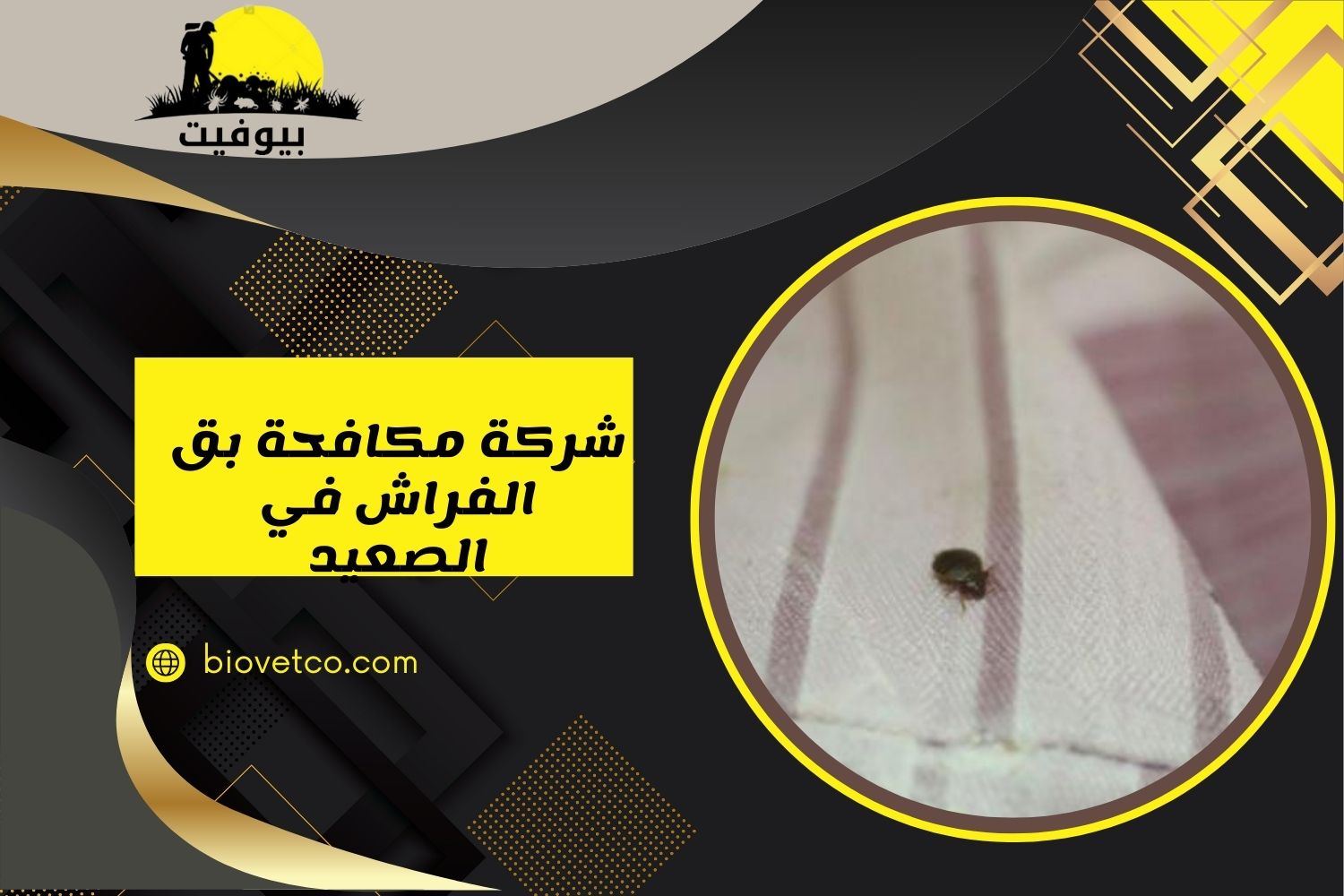 شركة مكافحة بق الفراش بالصعيد 01033160250