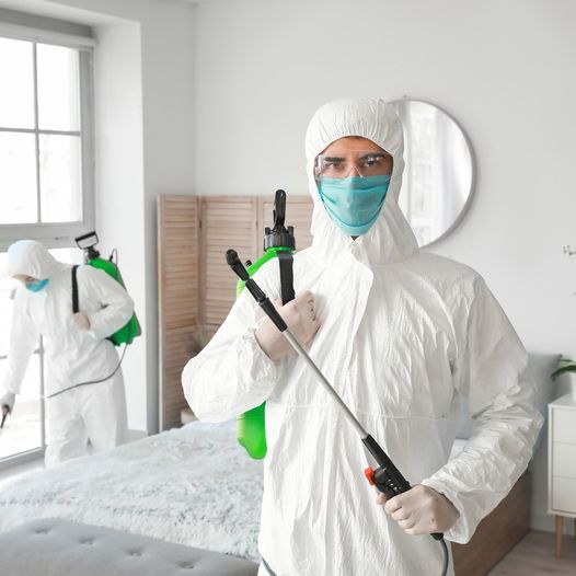 شركة مكافحة بق الفراش بالقاهرة