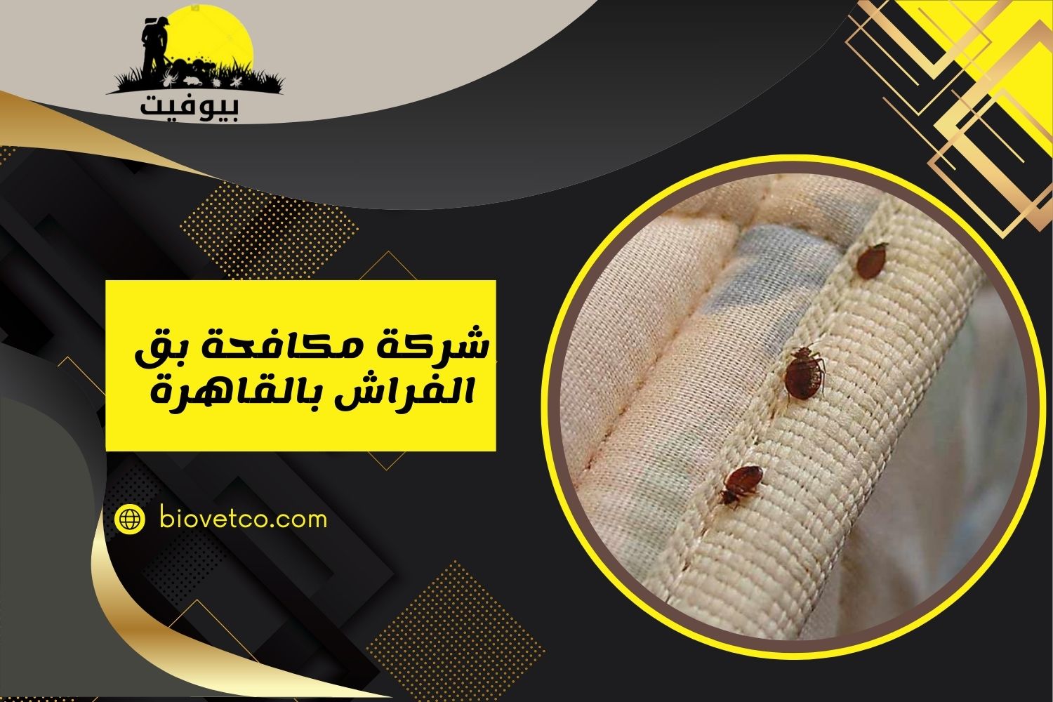 شركة مكافحة بق الفراش بالقاهرة 01033160250