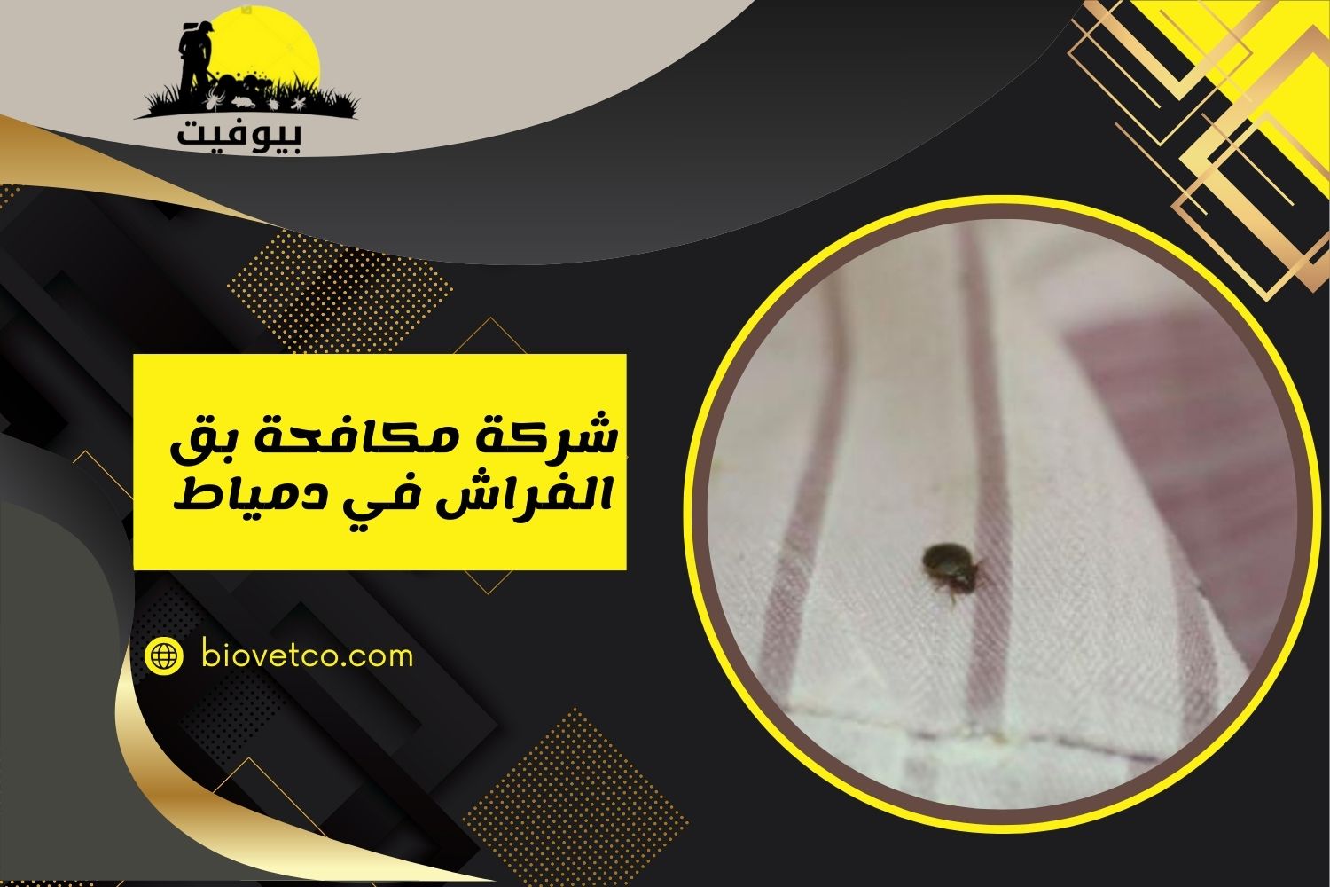 شركة مكافحة بق الفراش في دمياط 01033160250