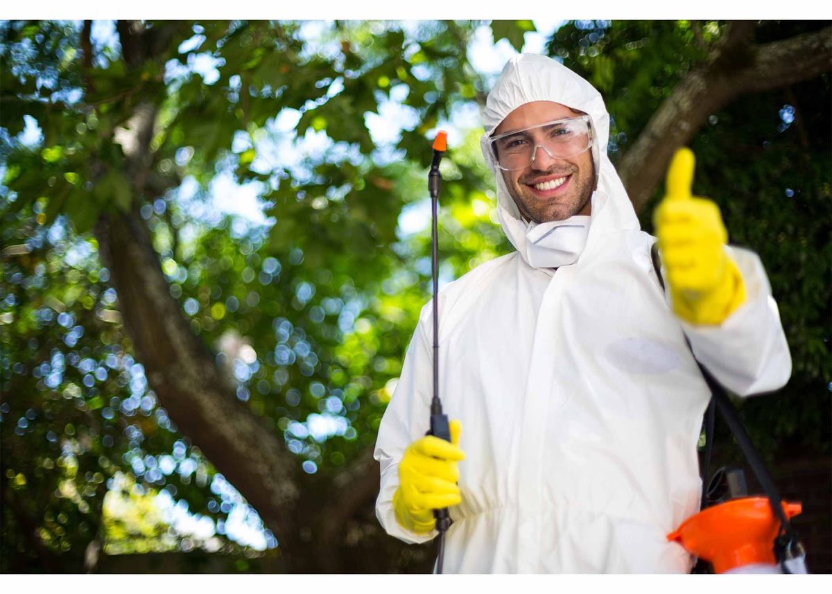 طرق مكافحة بق الفراش التي نستخدمها في أسيوط