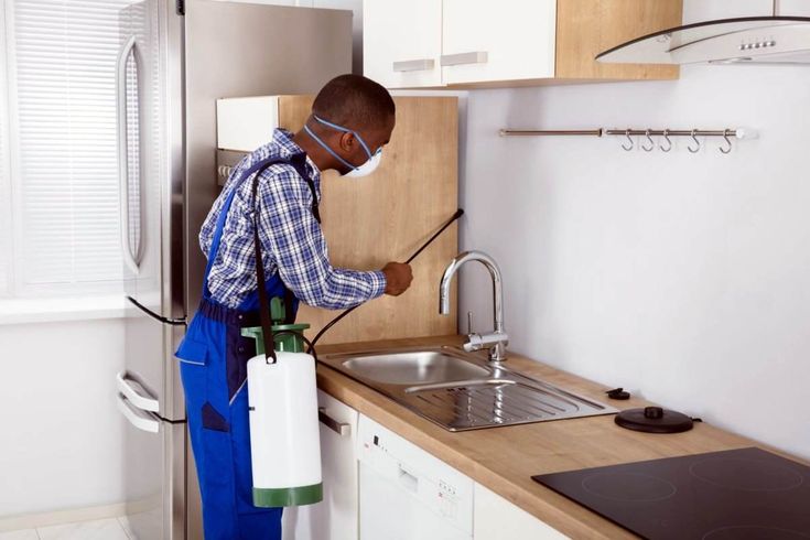 مكافحة بق الفراش في أسيوط