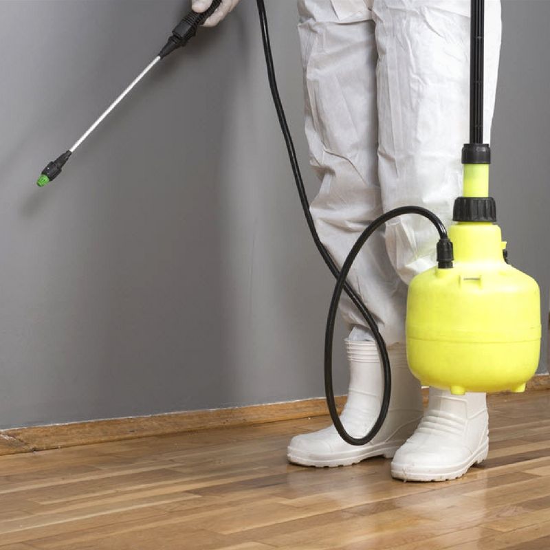 مميزات شركة مكافحة بق الفراش في أسيوط