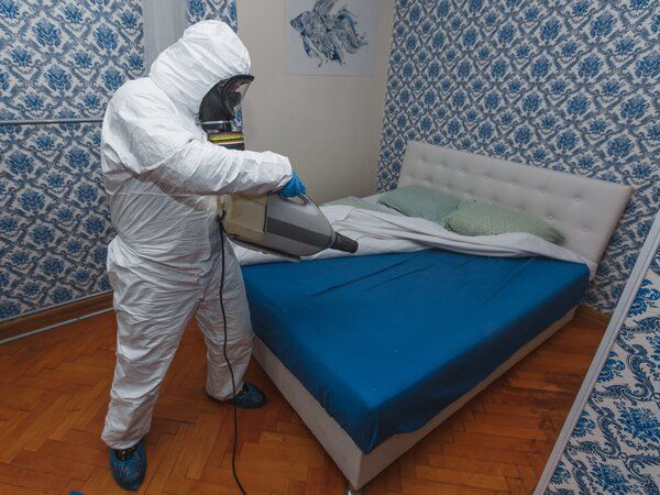 احجز الآن مع شركة رش بق الفراش بمدينة 6 أكتوبر