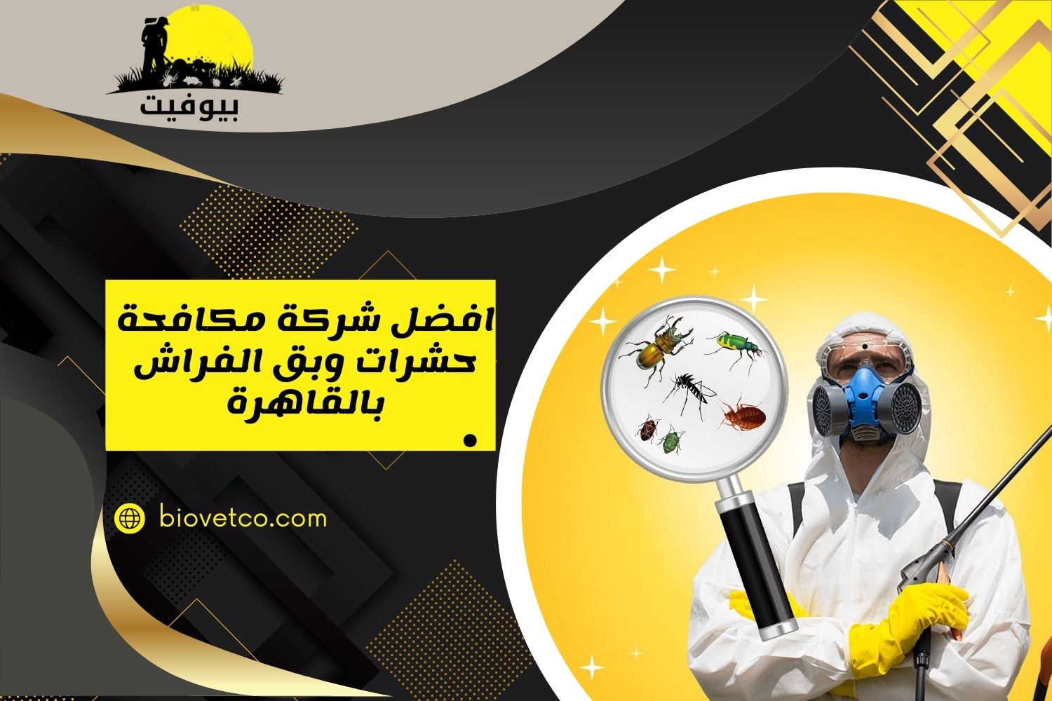 افضل شركة مكافحة حشرات وبق الفراش بالقاهرة 01033160250
