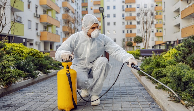 معدات حديثة لمكافحة الحشرات والقوارض في الإسكندرية