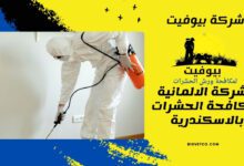 الشركة الالمانية لمكافحة الحشرات بالاسكندرية