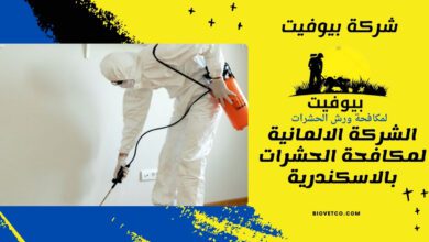 الشركة الالمانية لمكافحة الحشرات بالاسكندرية